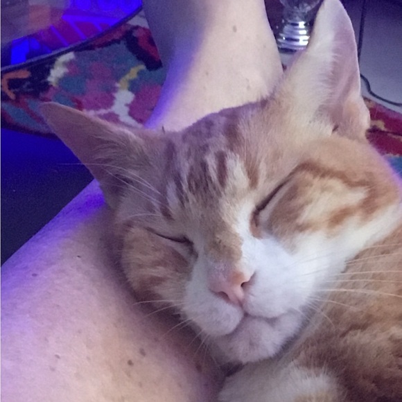 Stance socks 🧦 brand new - Picture 6 of 16